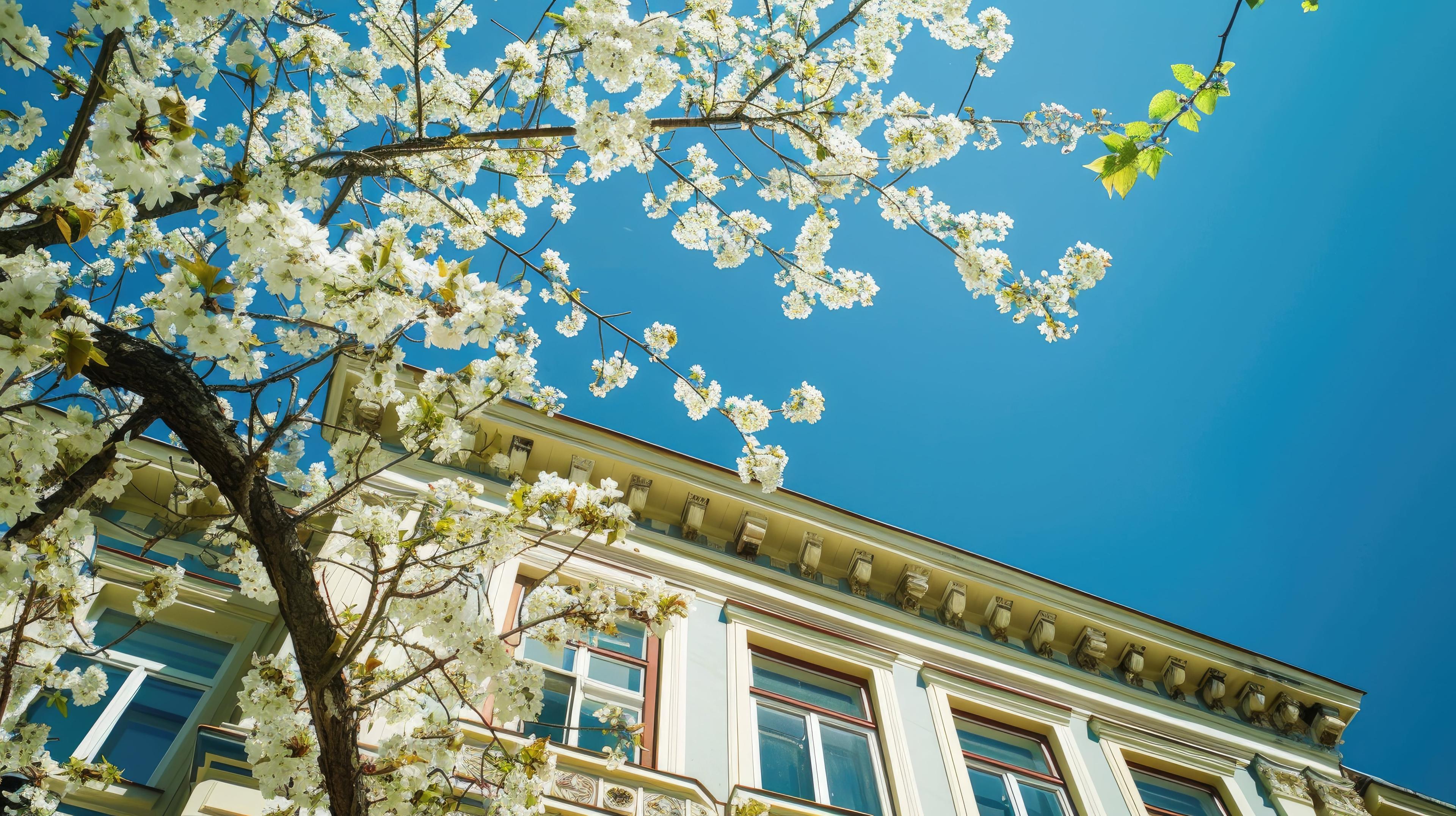 学びを支援する財団の理念